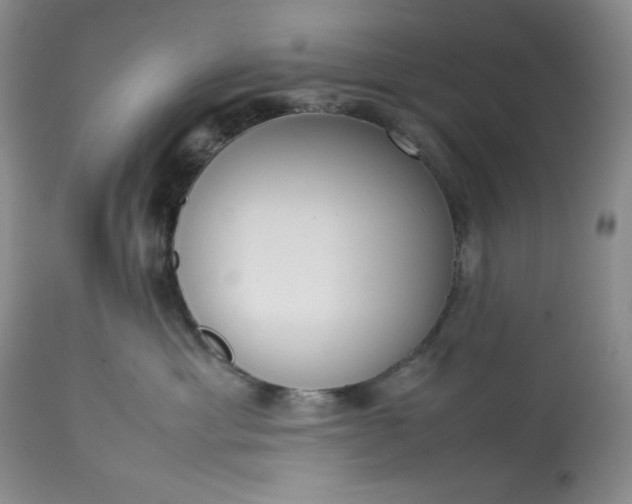 X0000113350429200909291100