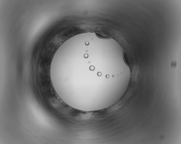 X0000113350430200909291100