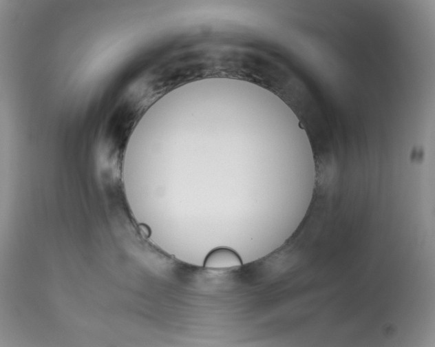 X0000113350431200909291100