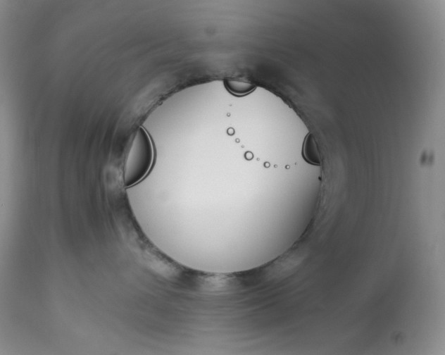 X0000113350432200909291100