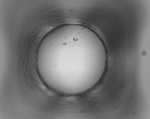 X0000113350433200909291059