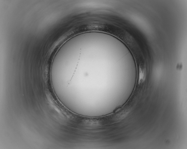 X0000113350435200909291059