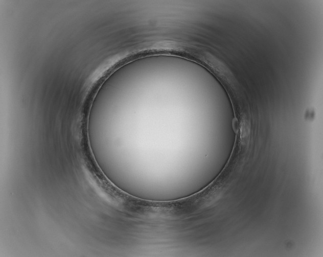 X0000113350436200909291059