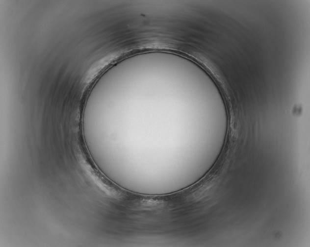 X0000113350437200909291059