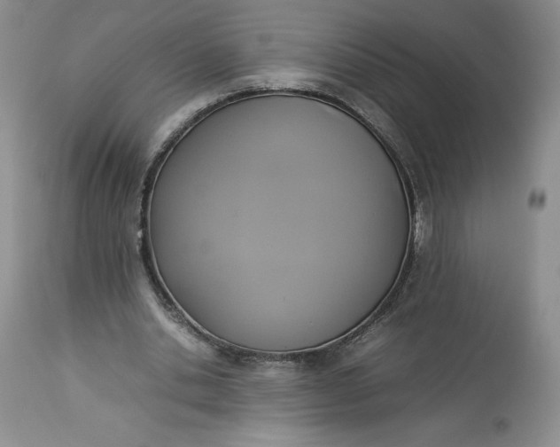 X0000113350438200909291059