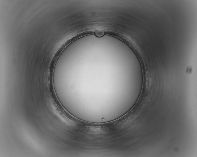 X0000113350439200909291059