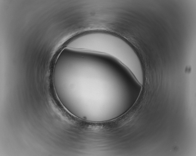 X0000113350440200909291059