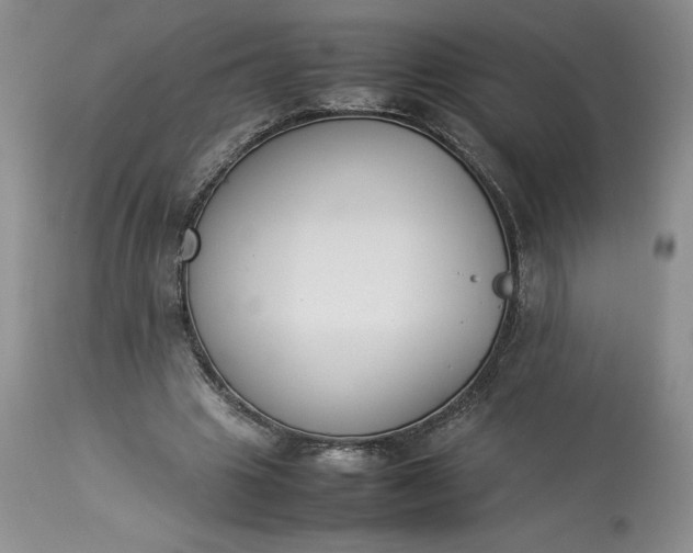 X0000113350441200909291059