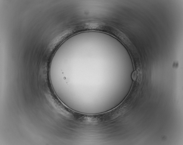 X0000113350442200909291059