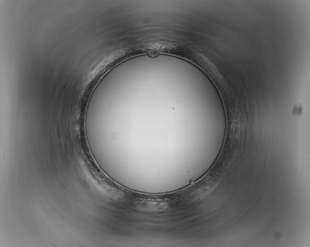 X0000113350443200909291059