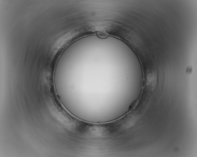 X0000113350444200909291059