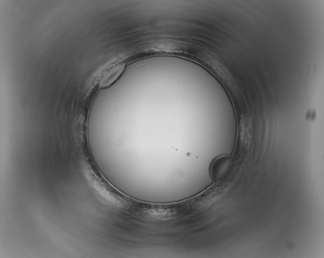 X0000113350445200909291059