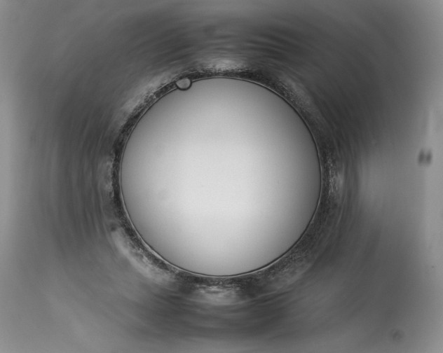 X0000113350447200909291059