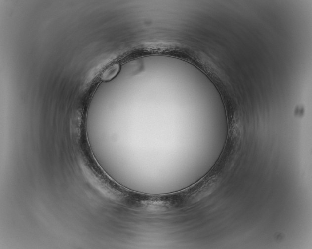 X0000113350448200909291059