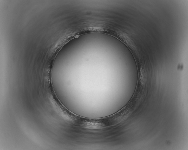 X0000113350449200909291059