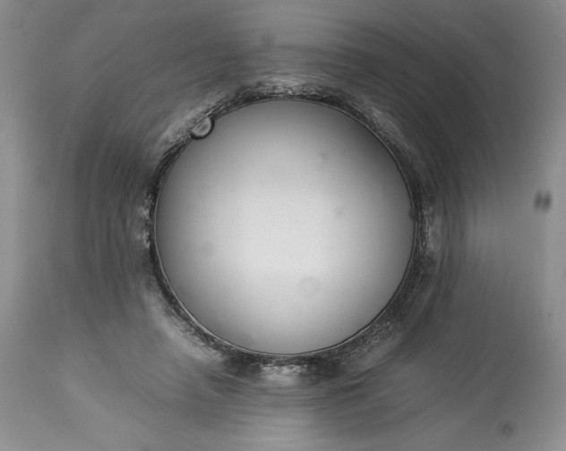 X0000113350450200909291059