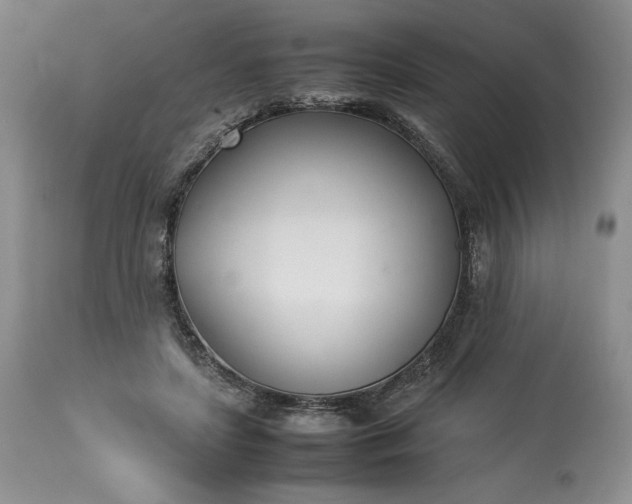 X0000113350451200909291059