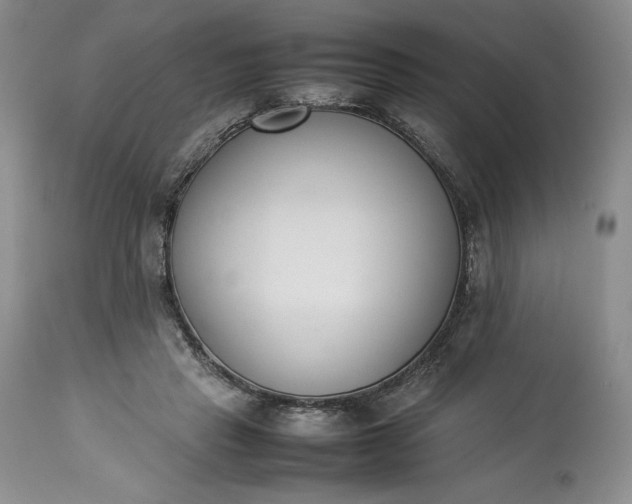 X0000113350453200909291059