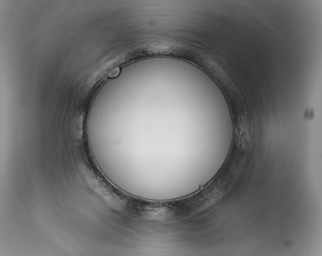 X0000113350454200909291059