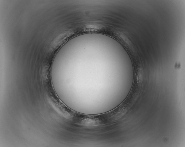 X0000113350455200909291059