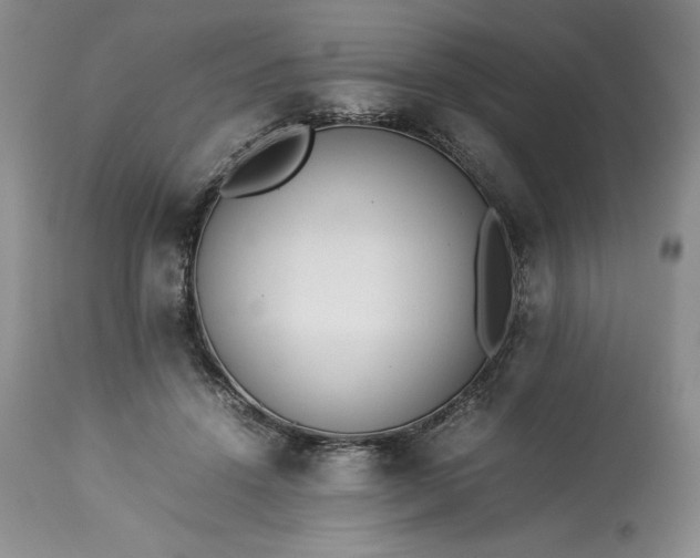 X0000113350456200909291059