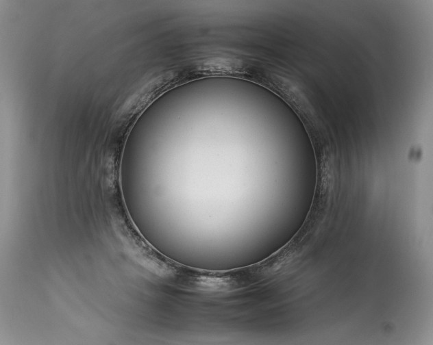 X0000113350457200909291059