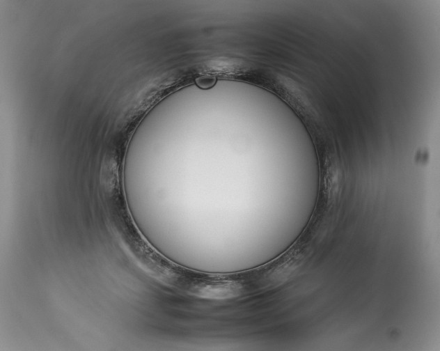 X0000113350459200909291059