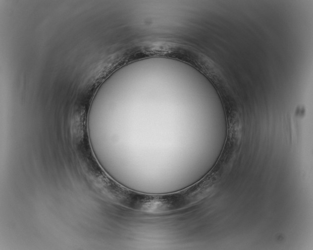 X0000113350460200909291059