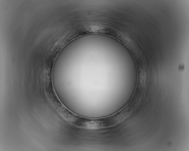 X0000113350461200909291059