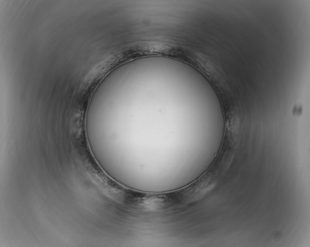 X0000113350462200909291059