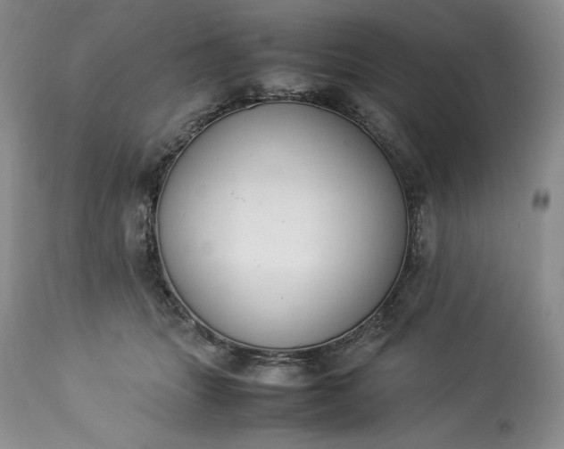 X0000113350463200909291059