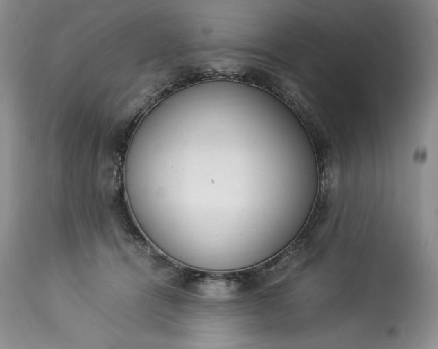 X0000113350464200909291059