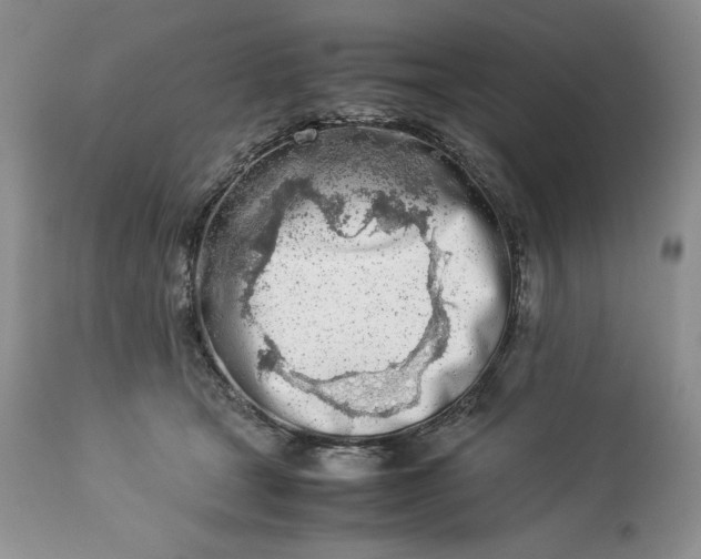 X0000113350465200909291059