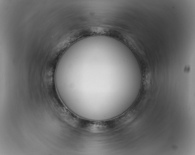 X0000113350466200909291059