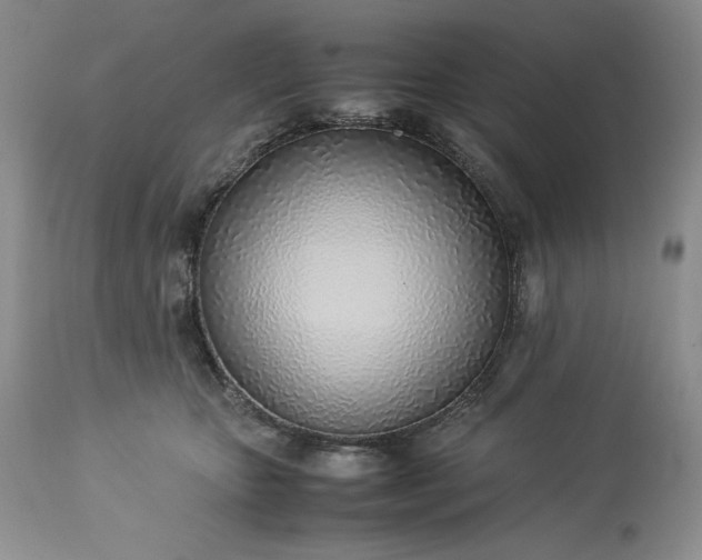 X0000113350467200909291059