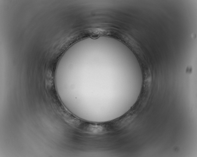 X0000113350469200909291059