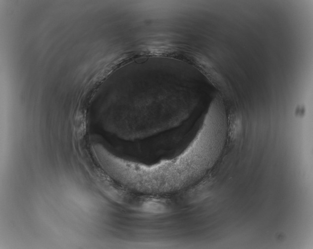 X0000113350471200909291059