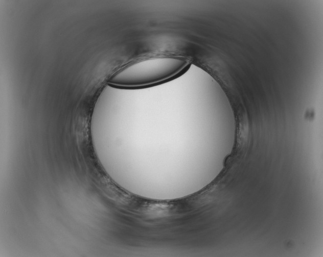 X0000113350473200909291059