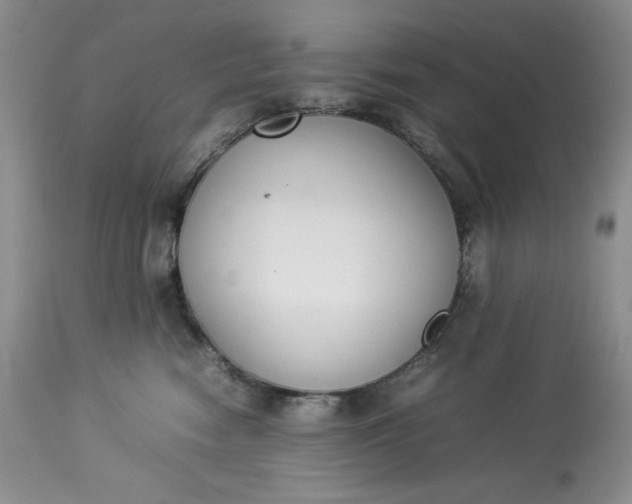 X0000113350474200909291100