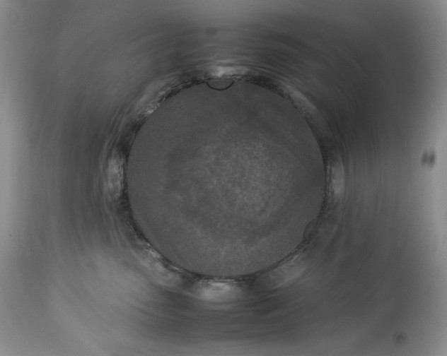 X0000113350475200909291100