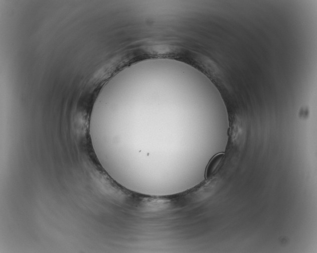 X0000113350476200909291100