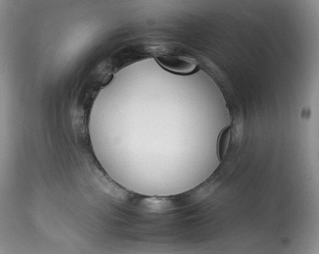 X0000113350477200909291100