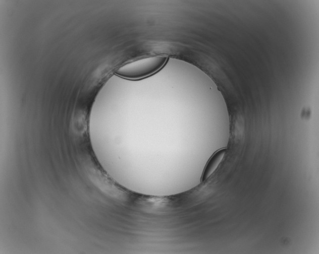 X0000113350478200909291100