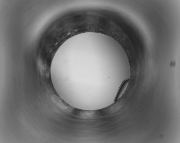 X0000113350479200909291100