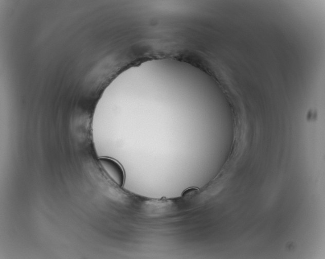 X0000113350480200909291100