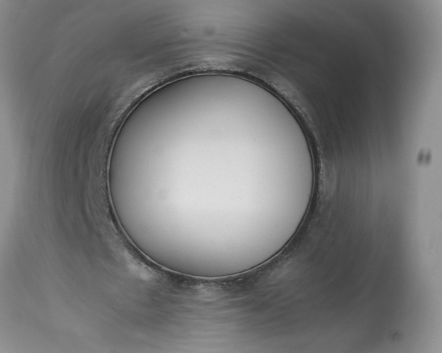 X0000113350481200909291059