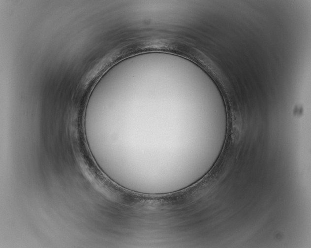 X0000113350482200909291059