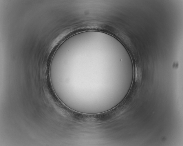 X0000113350483200909291059