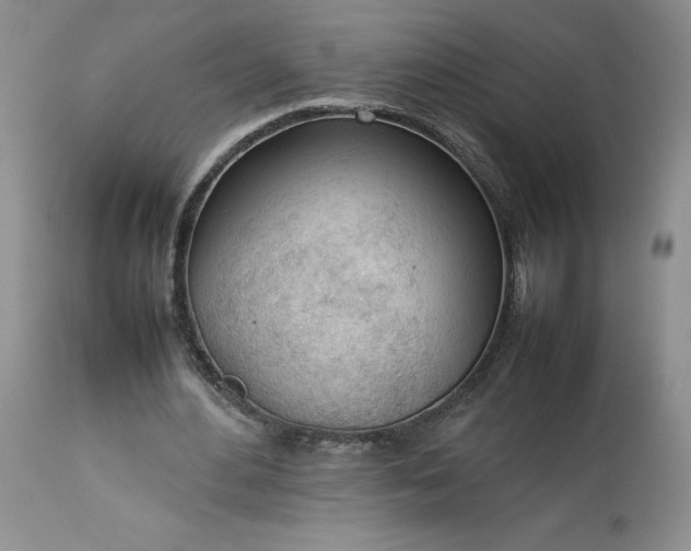 X0000113350484200909291059