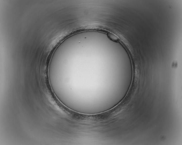 X0000113350485200909291059